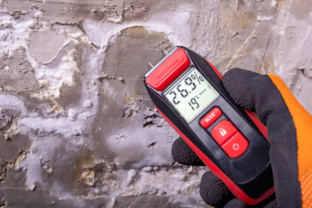 Professional Mold Removal in Sand Point, AK