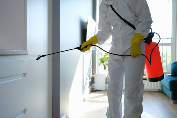 Best Commercial Mold Removal  in Sand Point, AK