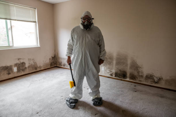 Best Professional Mold Removal  in Sand Point, AK