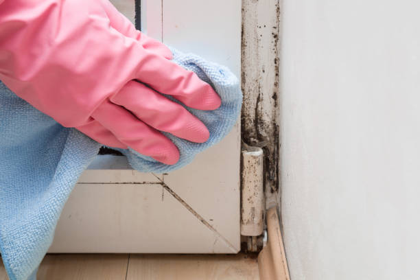 Best Crawl Space Mold Removal  in Sand Point, AK